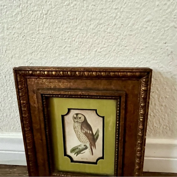 Vintage Gold Framed Owl Art for Bird Lovers - Picture 8 of 10